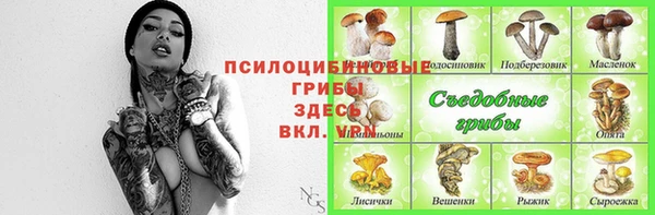 PSILOCYBIN Богородицк