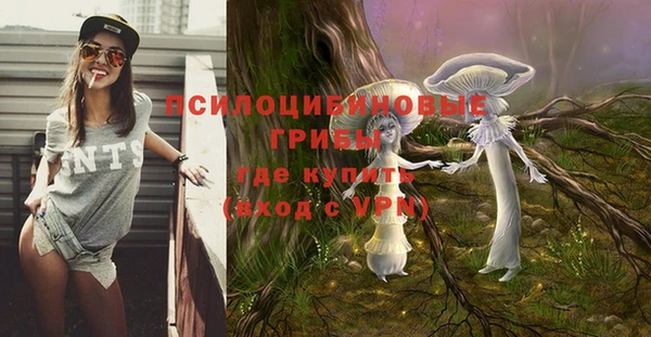 ECSTASY Бугульма