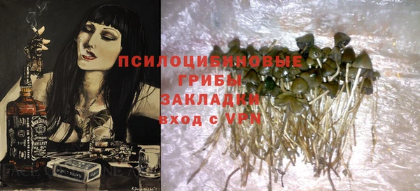 МДПВ Богданович