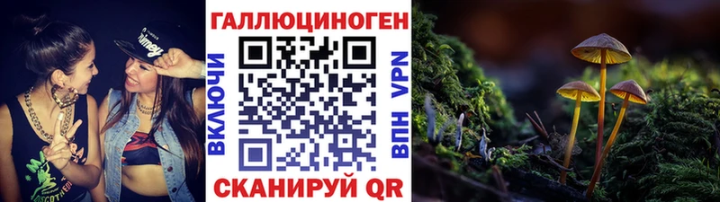 Галлюциногенные грибы GOLDEN TEACHER  где купить   Вольск 